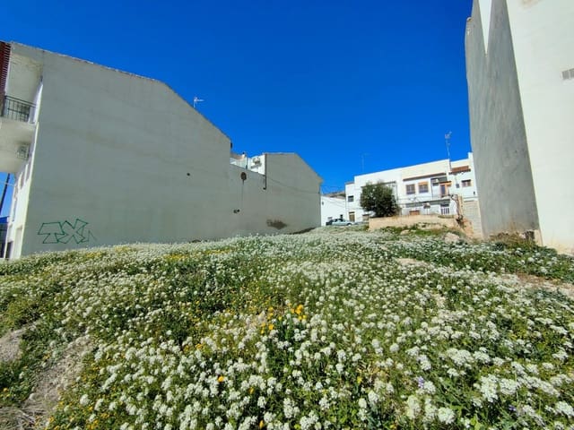 Terrain à Bâtir à vendre à Vélez-Rubio - 25 900 € (Ref: 9630039)