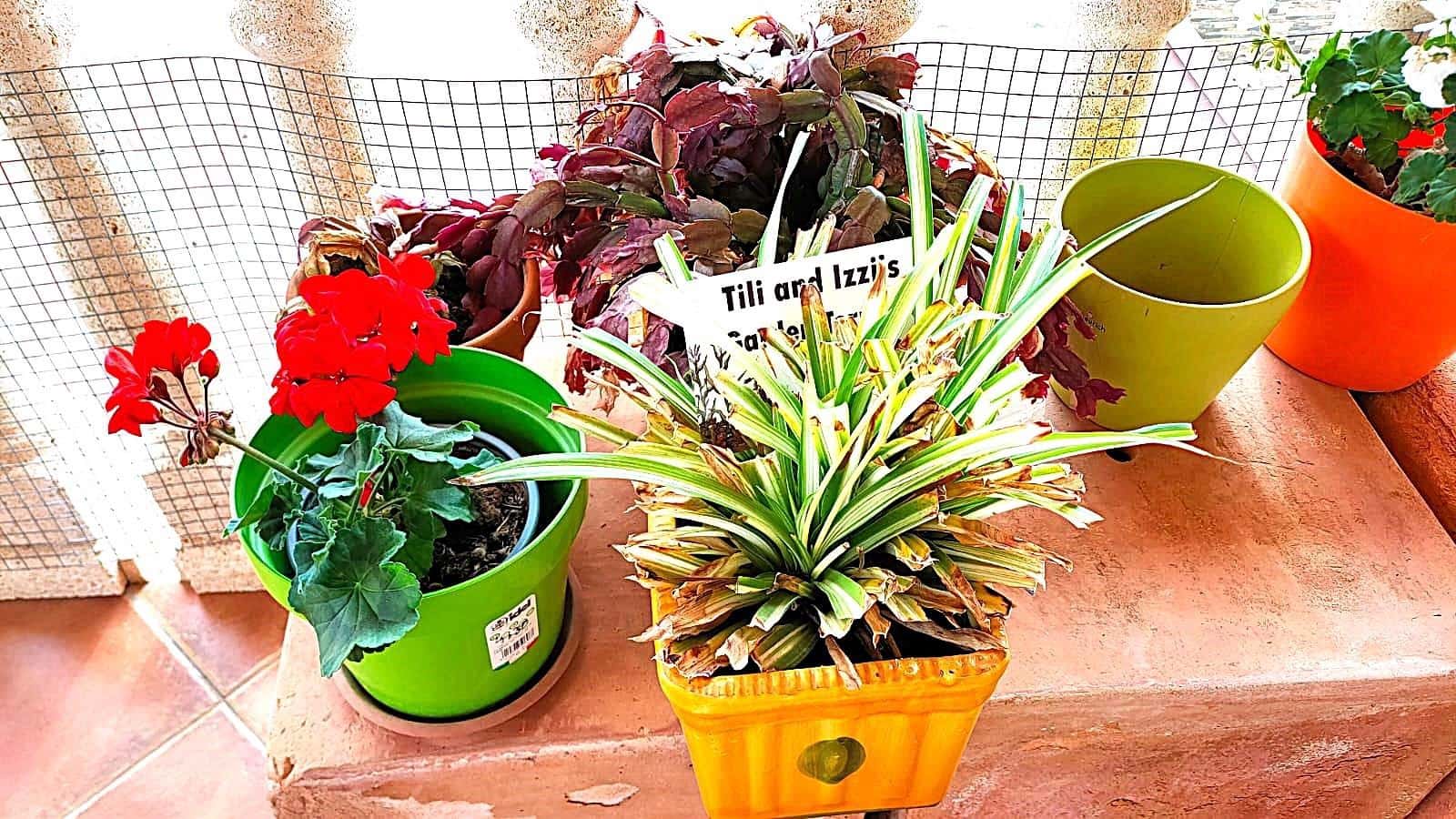 4 slaapkamer Villa te koop in San Juan de los Terreros met zwembad garage - € 469.950 (Ref: 9808025)