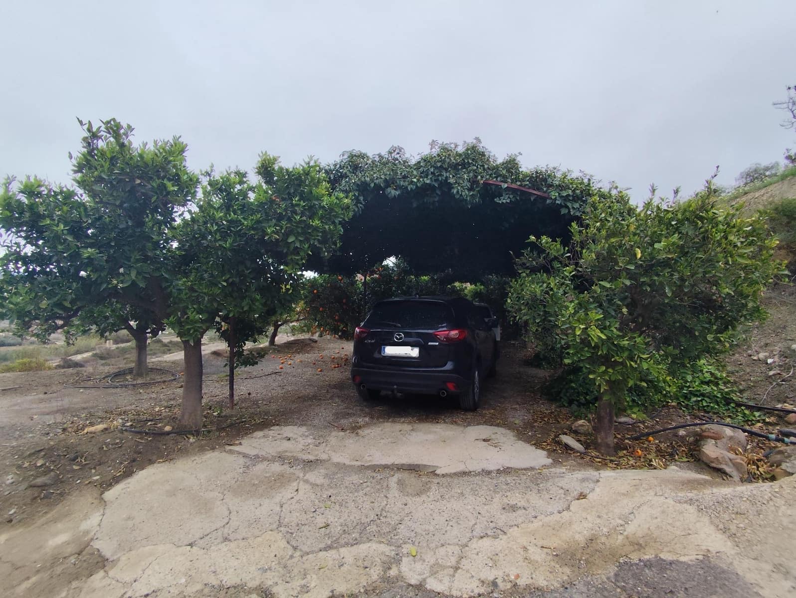 3 soveværelse Finca/Landehus til salg i Terque - € 274.000 (Ref: 8566294)