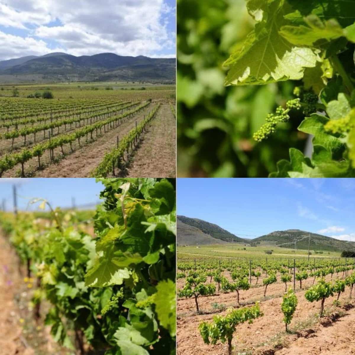 2 soverom Hus til salgs i Ohanes - € 62 000 (Ref: 9677912)