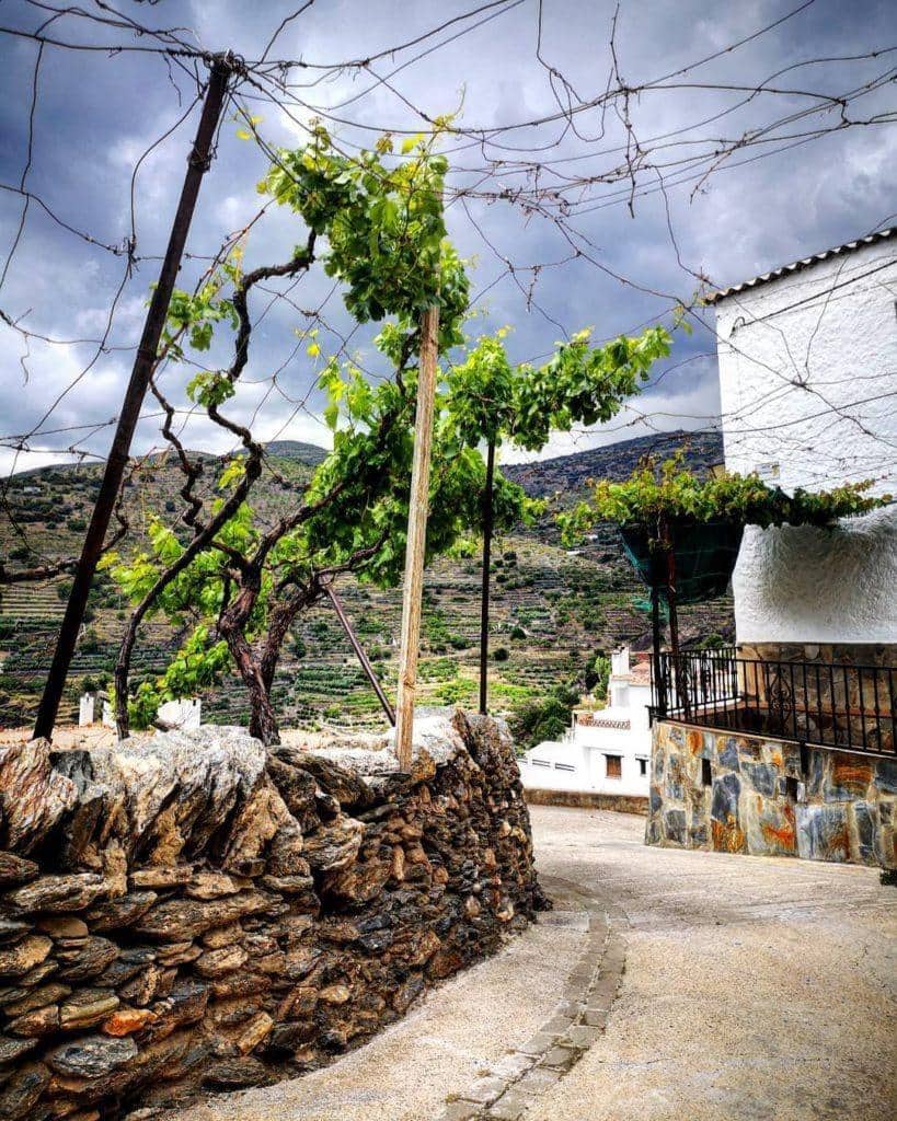 2 soverom Hus til salgs i Ohanes - € 62 000 (Ref: 9677912)