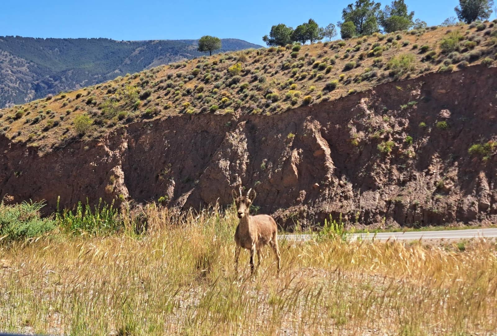 2 soverom Hus til salgs i Ohanes - € 62 000 (Ref: 9677912)