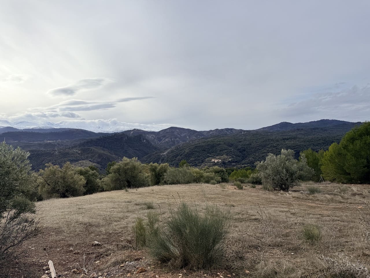 34 Zimmer Finca/Landgut zu verkaufen in Diezma mit Pool - 14.000.000 € (Ref: 10007493)