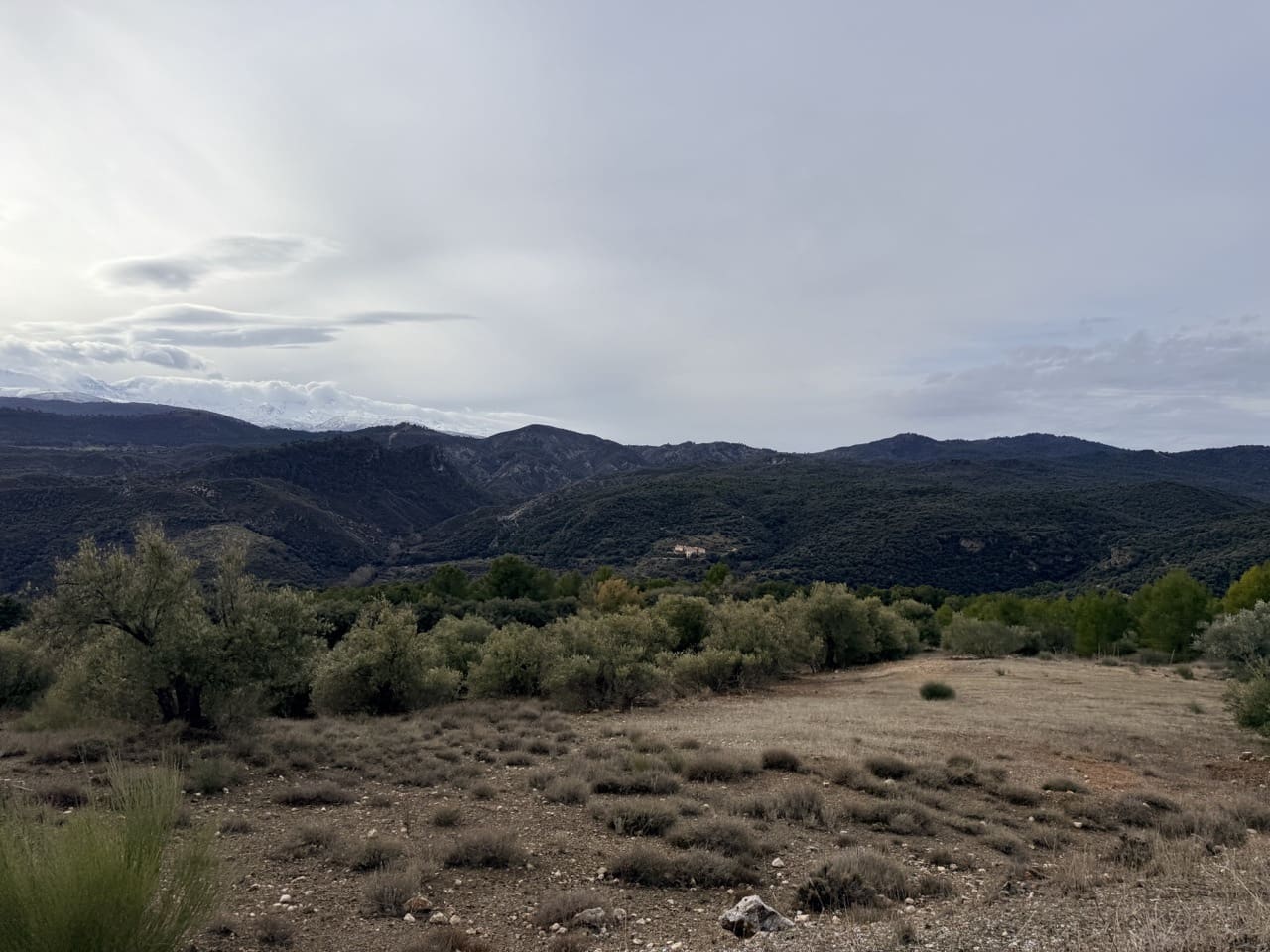 34 Zimmer Finca/Landgut zu verkaufen in Diezma mit Pool - 14.000.000 € (Ref: 10007493)