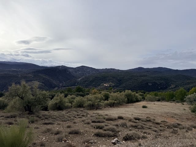 34 Zimmer Finca/Landgut zu verkaufen in Diezma mit Pool - 14.000.000 € (Ref: 10007493)