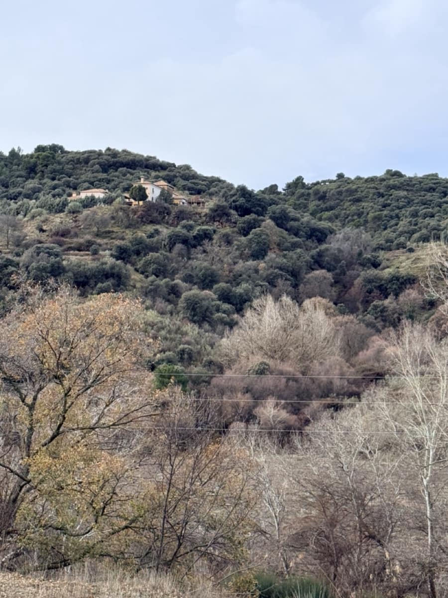 34 Zimmer Finca/Landgut zu verkaufen in Diezma mit Pool - 14.000.000 € (Ref: 10007493)