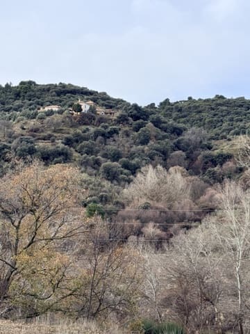 34 Zimmer Finca/Landgut zu verkaufen in Diezma mit Pool - 14.000.000 € (Ref: 10007493)