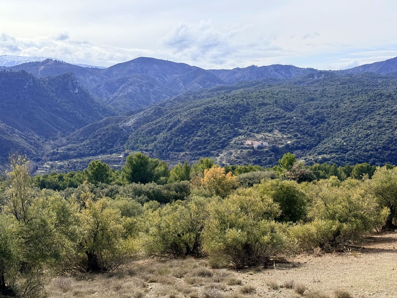 34 Zimmer Finca/Landgut zu verkaufen in Diezma mit Pool - 14.000.000 € (Ref: 10007493)