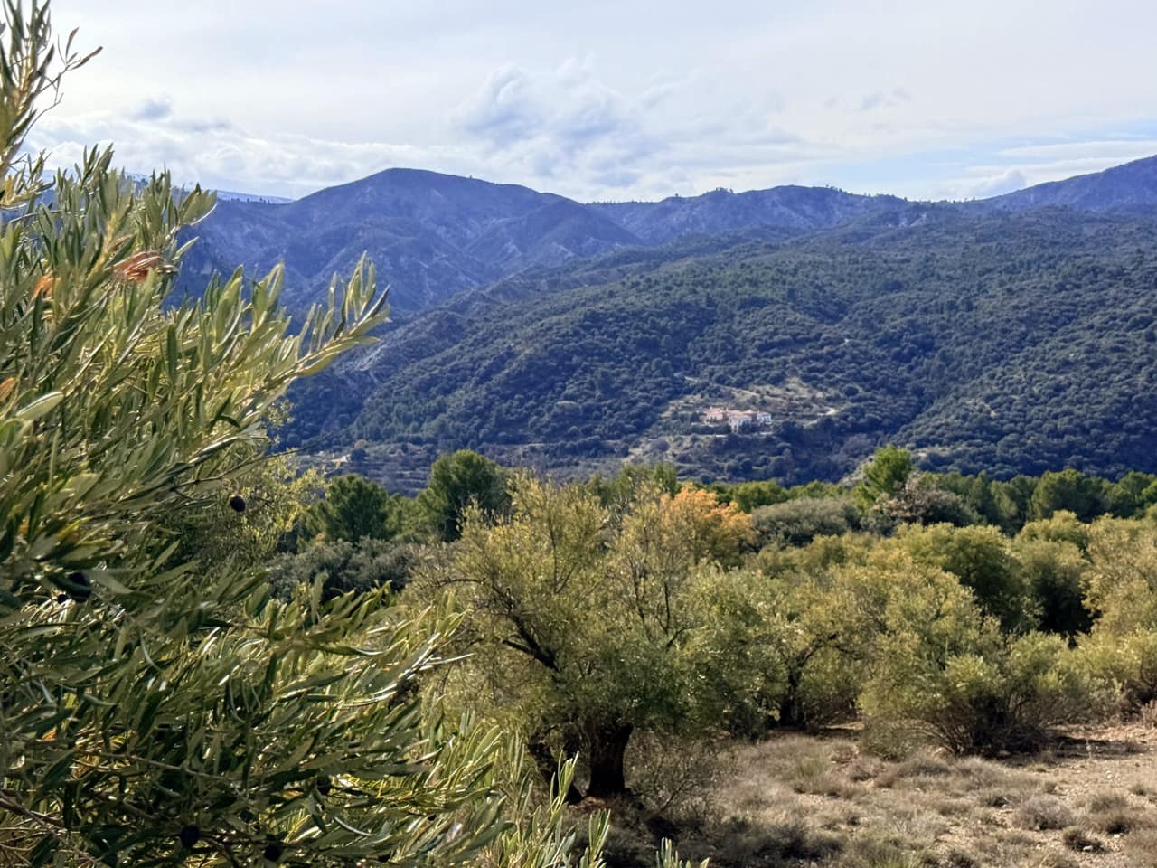 34 Zimmer Finca/Landgut zu verkaufen in Diezma mit Pool - 14.000.000 € (Ref: 10007493)