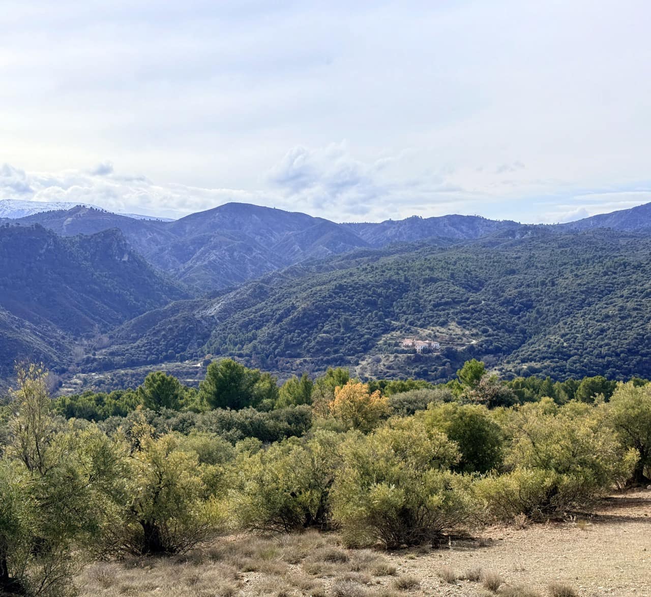 34 Zimmer Finca/Landgut zu verkaufen in Diezma mit Pool - 14.000.000 € (Ref: 10007493)