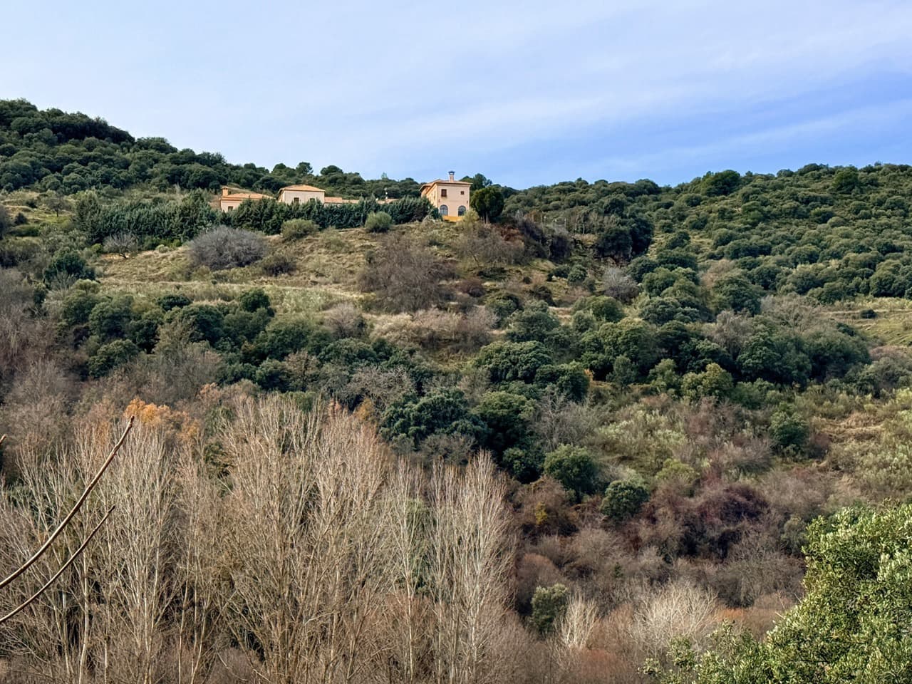 34 Zimmer Finca/Landgut zu verkaufen in Diezma mit Pool - 14.000.000 € (Ref: 10007493)
