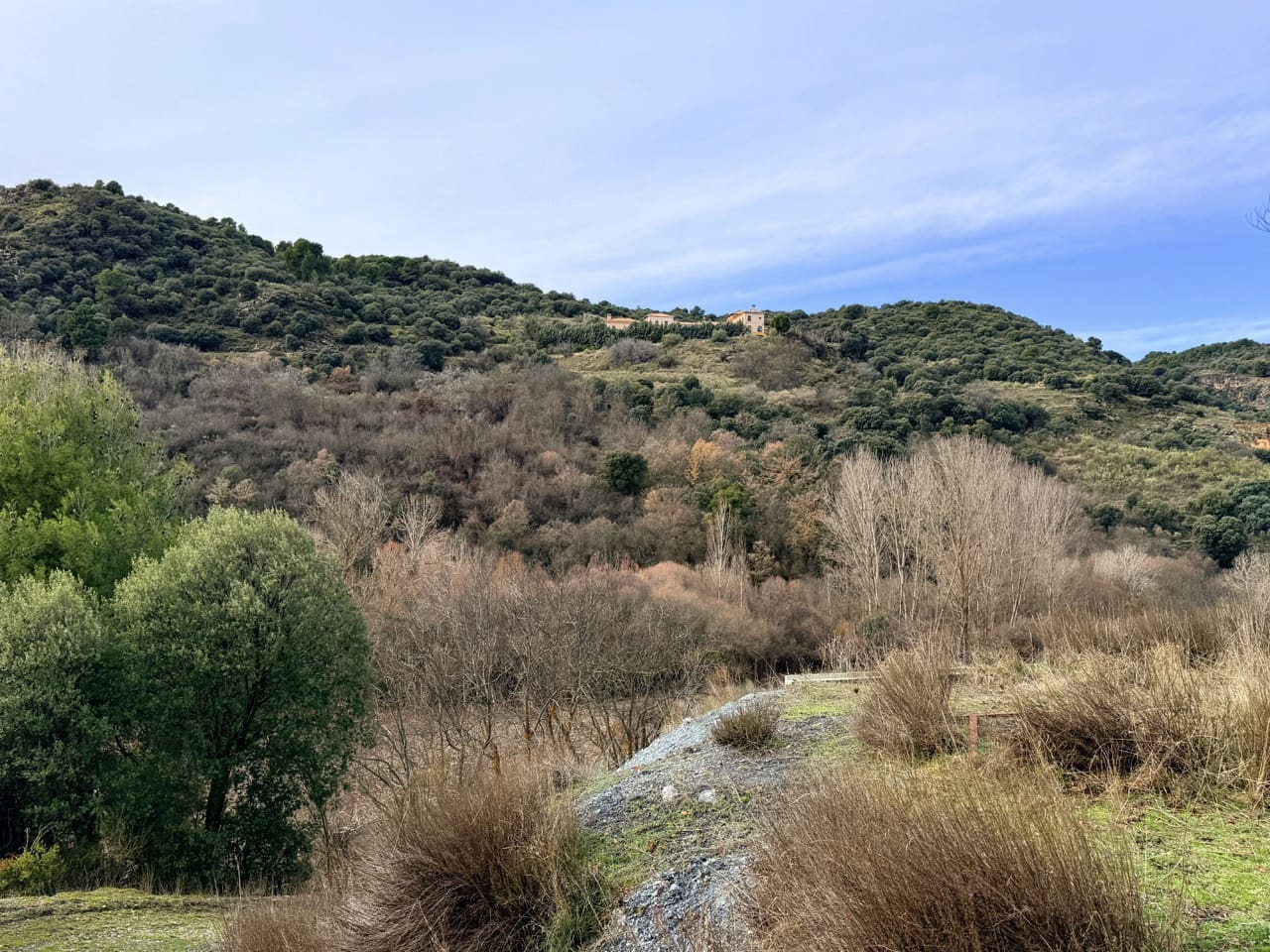 34 Zimmer Finca/Landgut zu verkaufen in Diezma mit Pool - 14.000.000 € (Ref: 10007493)