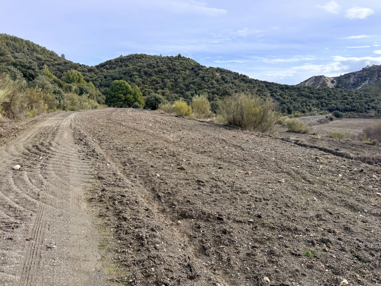 34 Zimmer Finca/Landgut zu verkaufen in Diezma mit Pool - 14.000.000 € (Ref: 10007493)