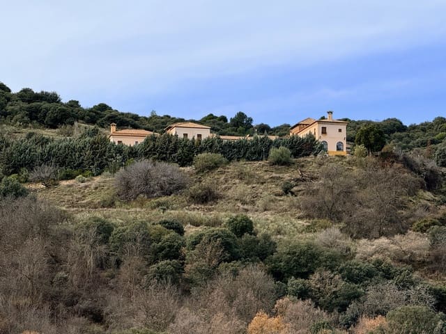 34 Zimmer Finca/Landgut zu verkaufen in Diezma mit Pool - 14.000.000 € (Ref: 10007493)