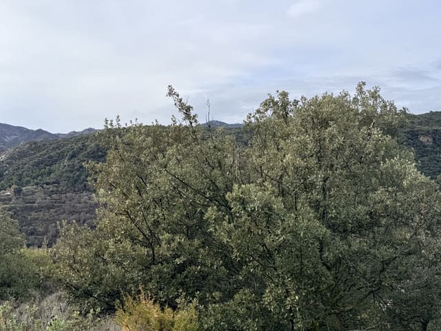 34 Zimmer Finca/Landgut zu verkaufen in Diezma mit Pool - 14.000.000 € (Ref: 10007493)