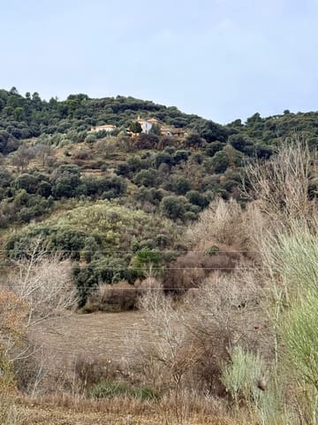 34 Zimmer Finca/Landgut zu verkaufen in Diezma mit Pool - 14.000.000 € (Ref: 10007493)