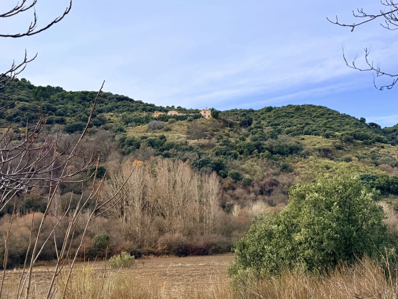 34 Zimmer Finca/Landgut zu verkaufen in Diezma mit Pool - 14.000.000 € (Ref: 10007493)