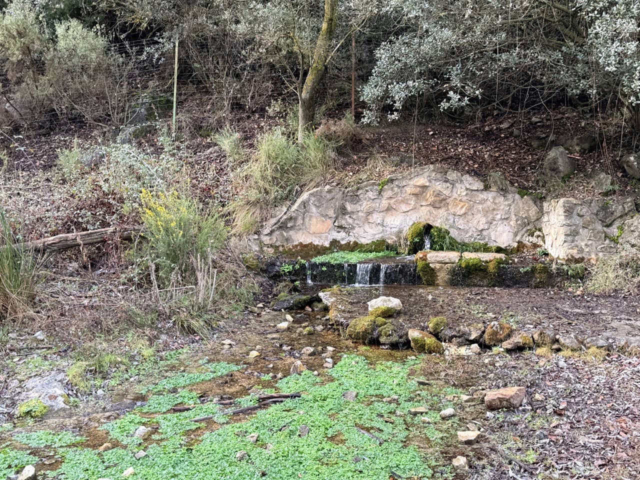 34 Zimmer Finca/Landgut zu verkaufen in Diezma mit Pool - 14.000.000 € (Ref: 10007493)