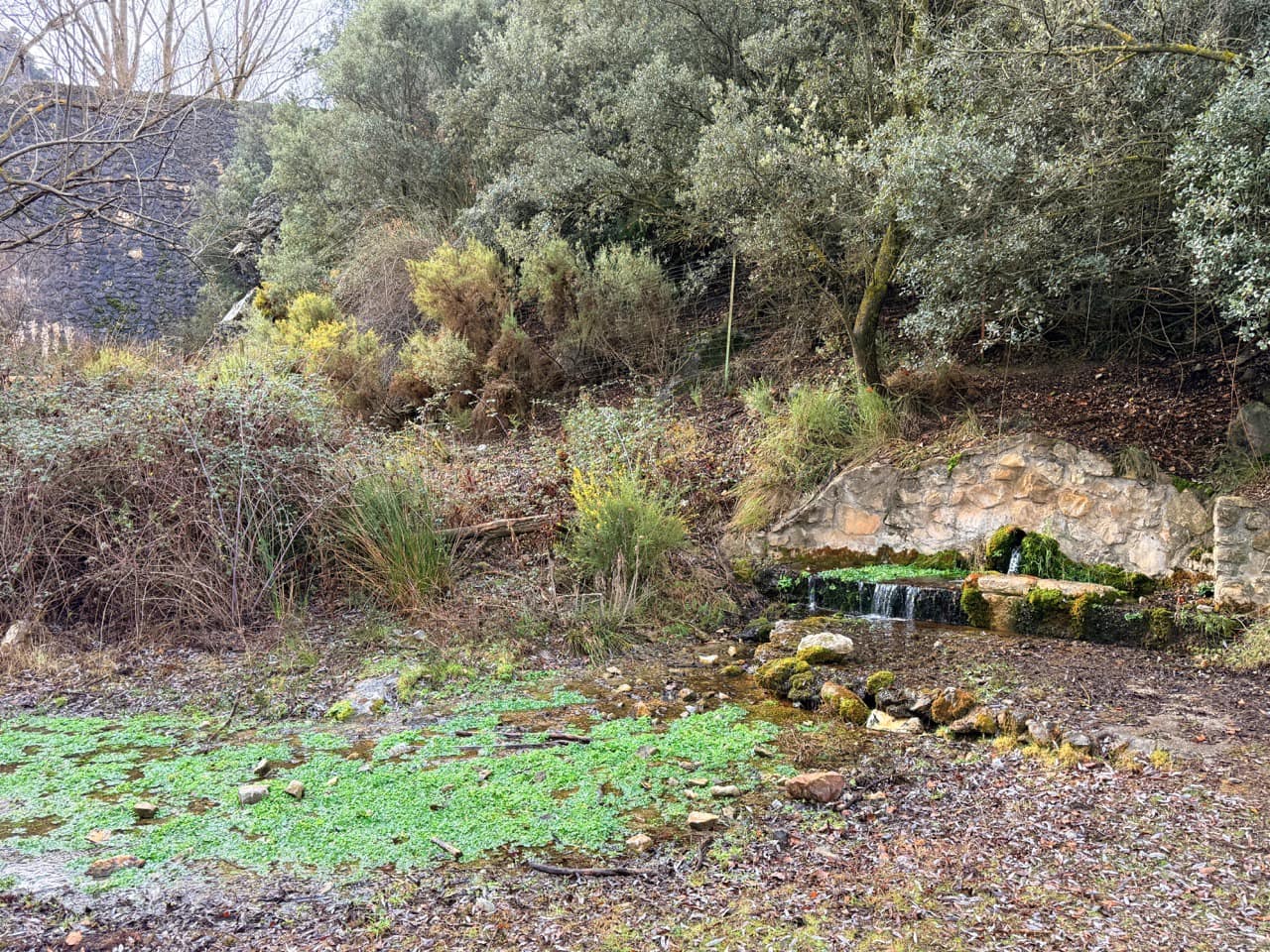 34 Zimmer Finca/Landgut zu verkaufen in Diezma mit Pool - 14.000.000 € (Ref: 10007493)