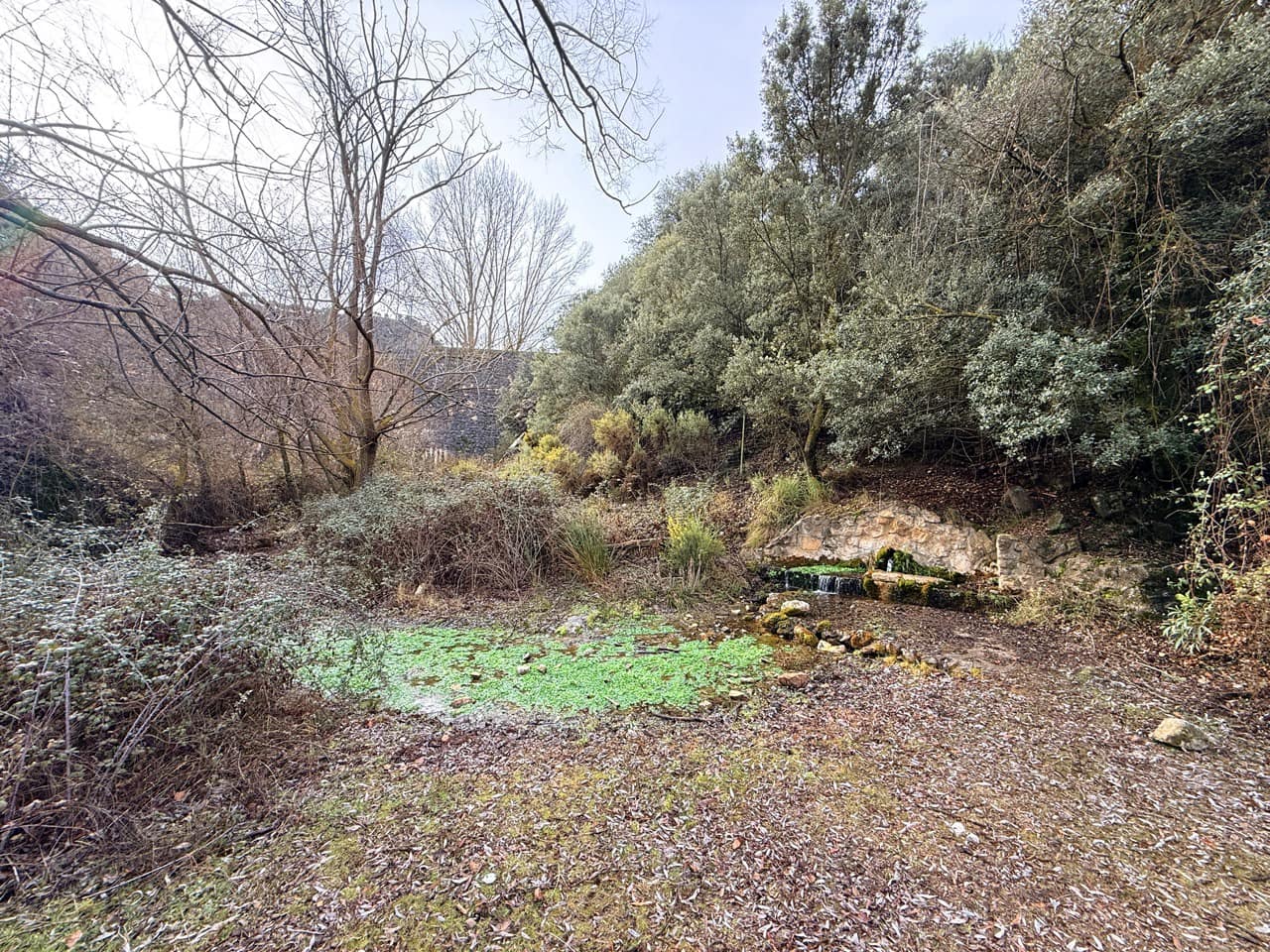 34 Zimmer Finca/Landgut zu verkaufen in Diezma mit Pool - 14.000.000 € (Ref: 10007493)