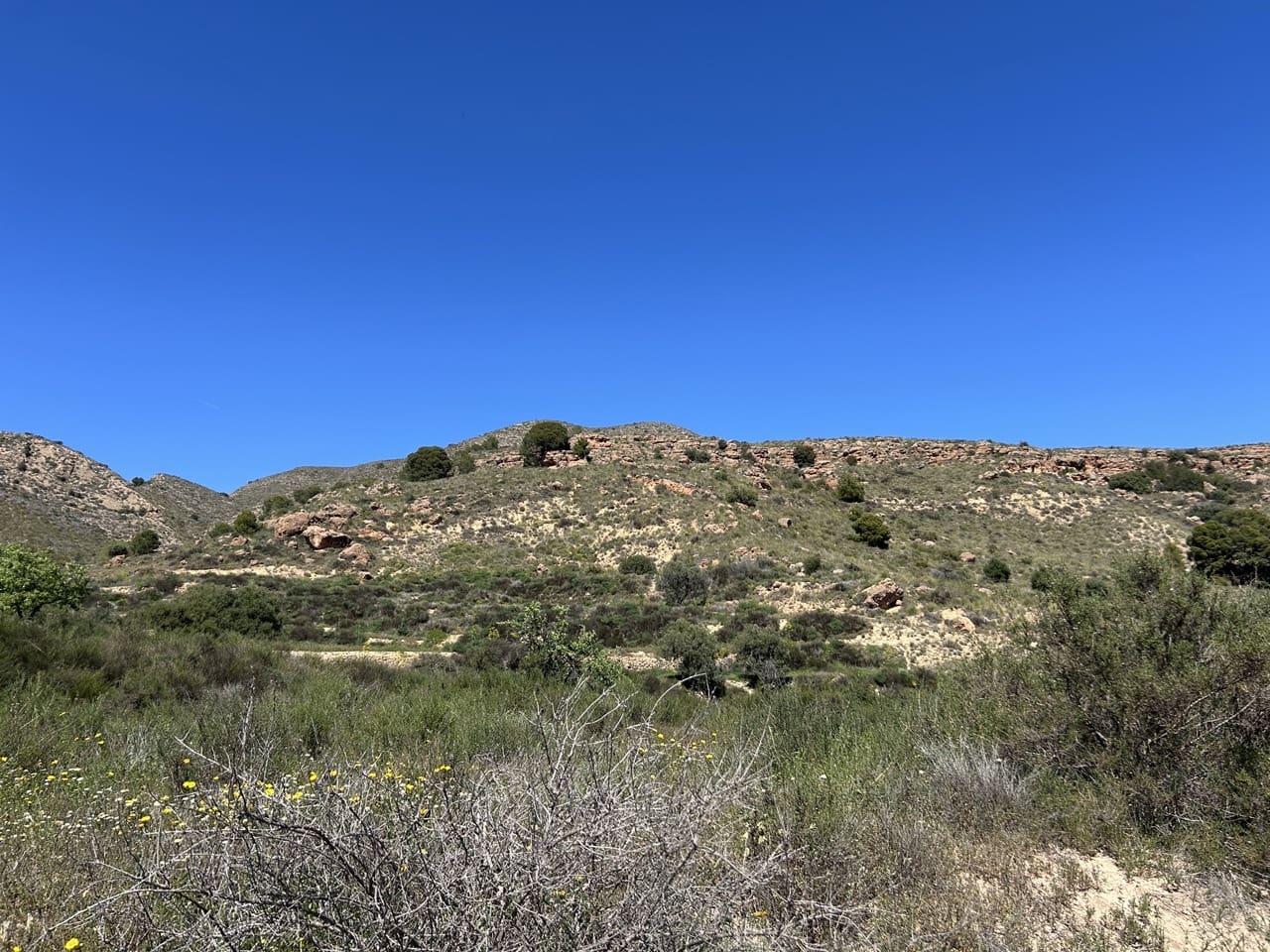 Finca/Herregård til salgs i Aguilas - € 2 500 000 (Ref: 10007494)