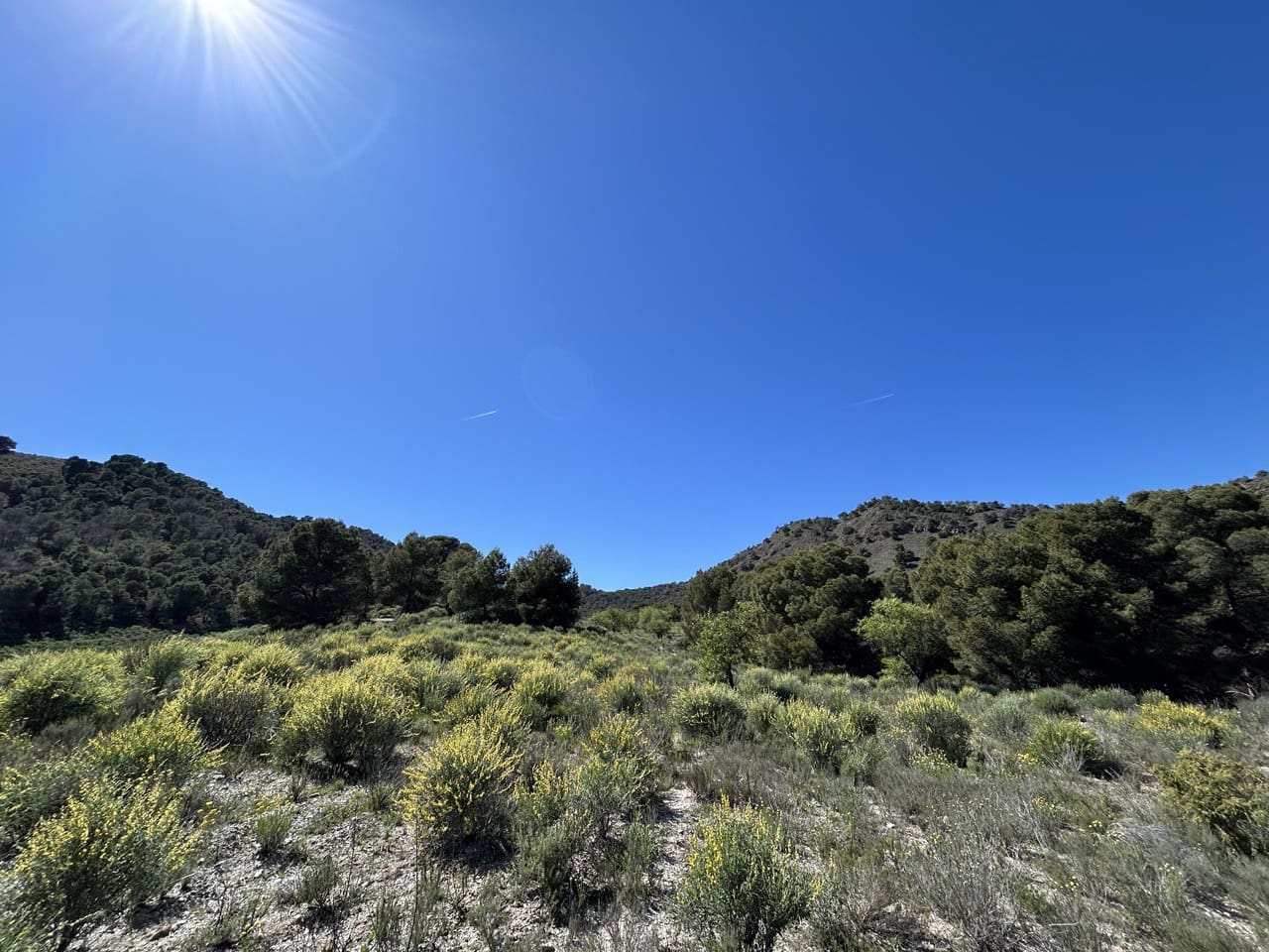 Finca/Herregård til salgs i Aguilas - € 2 500 000 (Ref: 10007494)