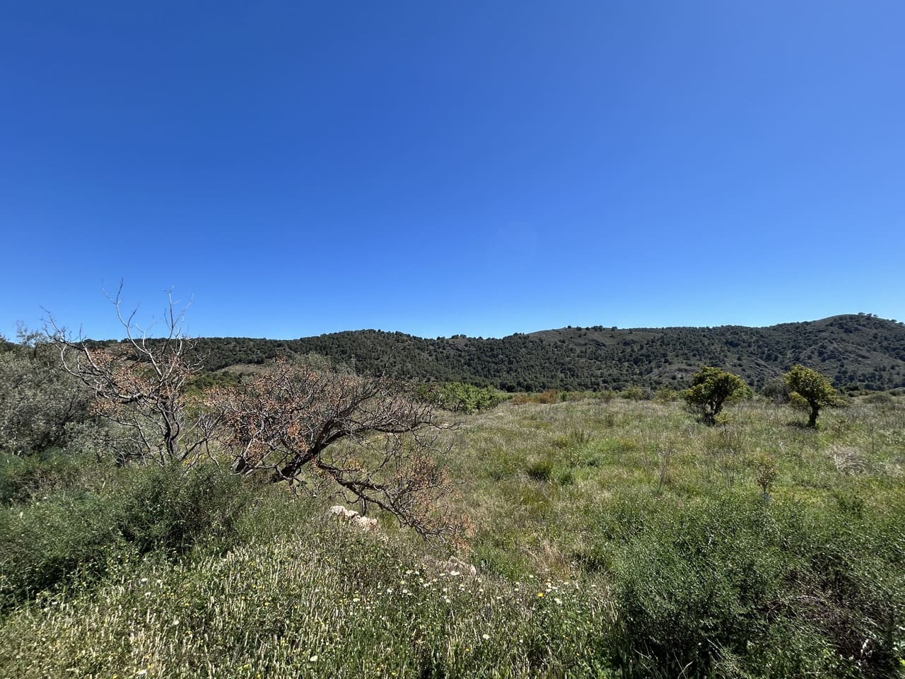 Finca/Herregård til salgs i Aguilas - € 2 500 000 (Ref: 10007494)