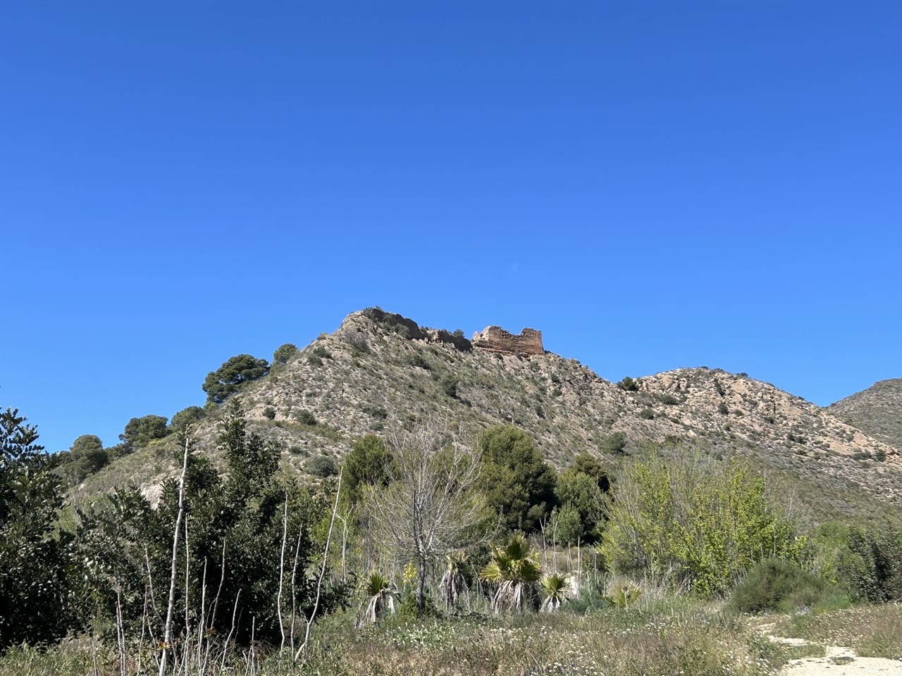 Finca/Herregård til salgs i Aguilas - € 2 500 000 (Ref: 10007494)