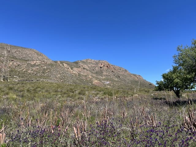 Finca/Herregård til salgs i Las Majadas - Las Molinetas - Labradorcico, Aguilas - € 2 500 000 (Ref: 10007494)