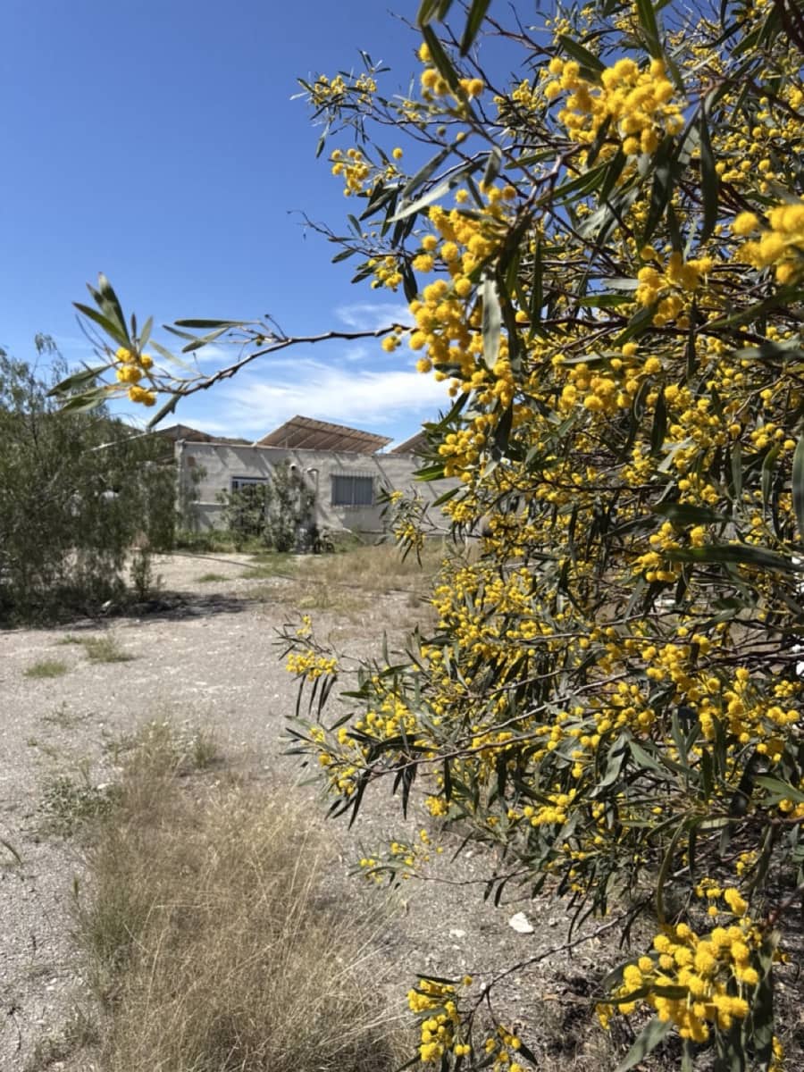 Finca/Herregård til salgs i Aguilas - € 2 500 000 (Ref: 10007494)