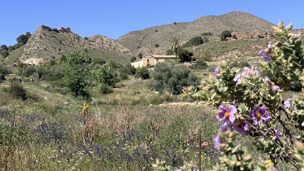 Finca/Herregård til salgs i Aguilas - € 2 500 000 (Ref: 10007494)