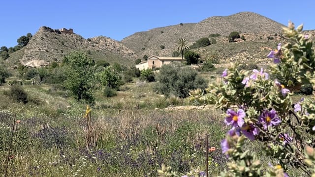 Finca/Herregård til salgs i Las Majadas - Las Molinetas - Labradorcico, Aguilas - € 2 500 000 (Ref: 10007494)