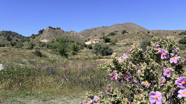 Finca/Herregård til salgs i Las Majadas - Las Molinetas - Labradorcico, Aguilas - € 2 500 000 (Ref: 10007494)