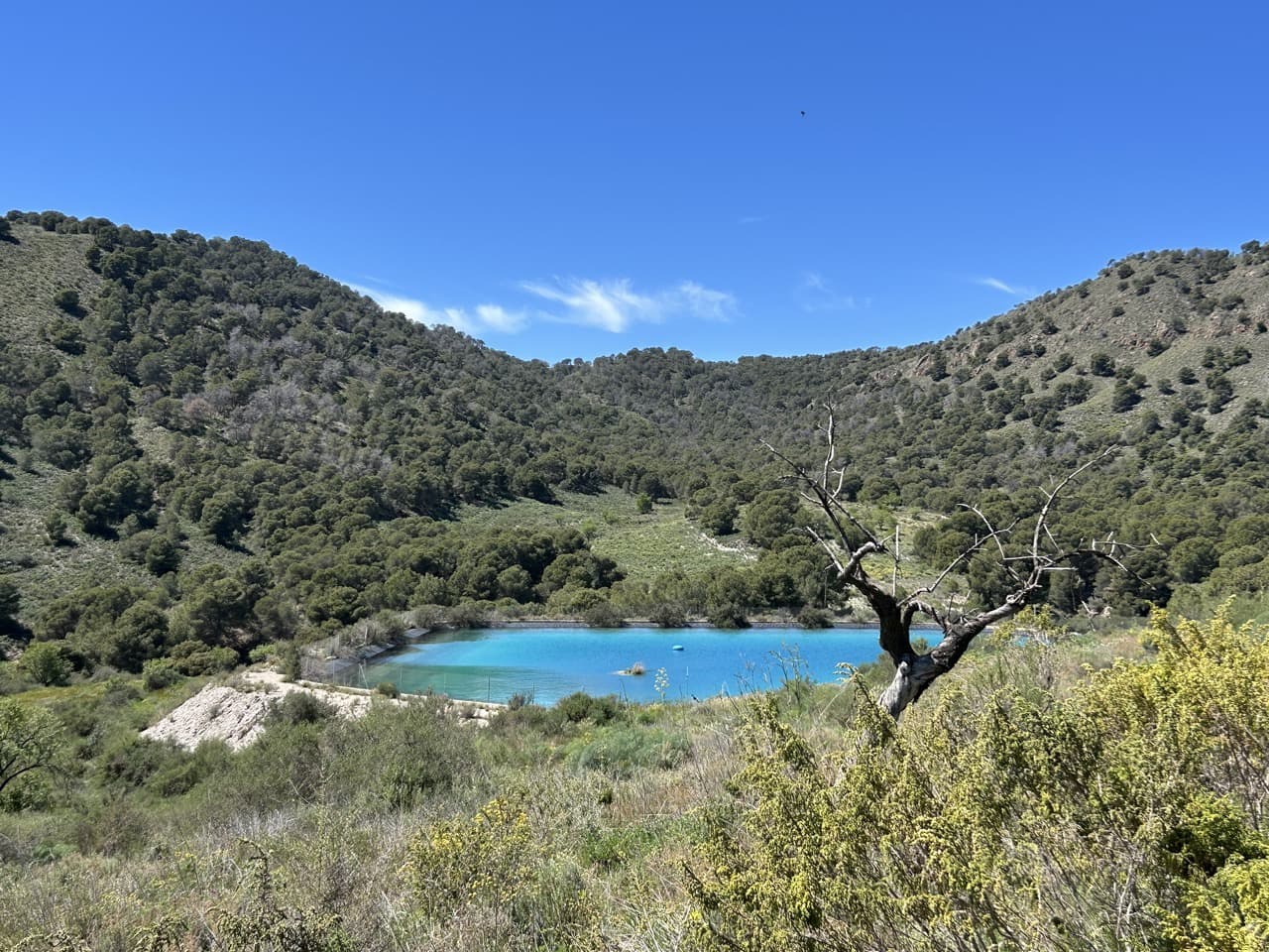 Finca/Herregård til salgs i Aguilas - € 2 500 000 (Ref: 10007494)