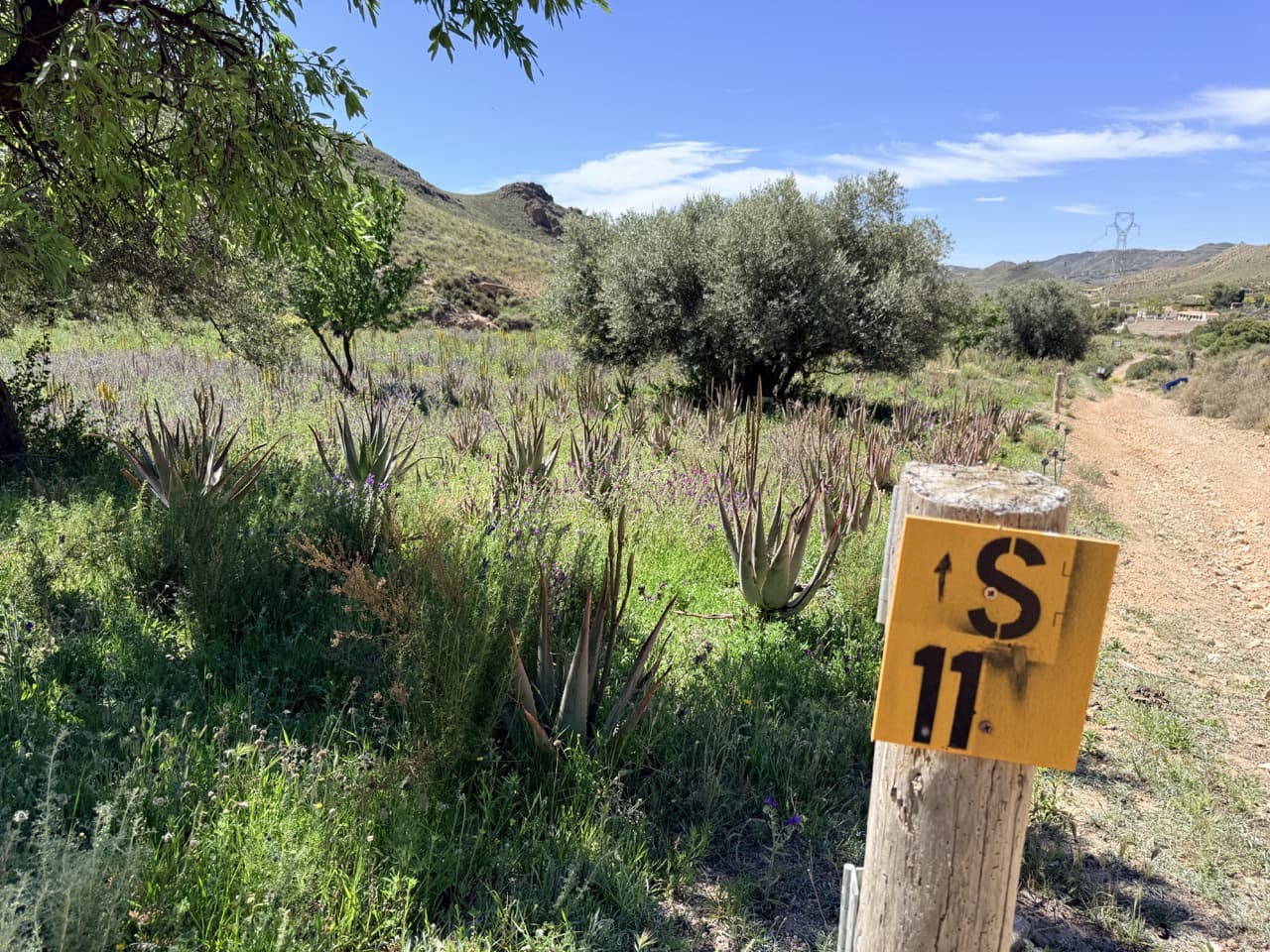 Finca/Herregård til salgs i Aguilas - € 2 500 000 (Ref: 10007494)