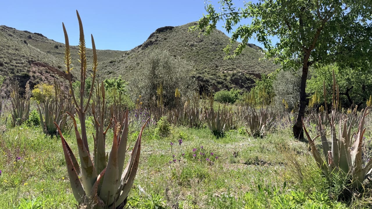 Finca/Herregård til salgs i Aguilas - € 2 500 000 (Ref: 10007494)