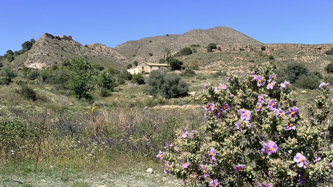 Finca/Herregård til salgs i Aguilas - € 2 500 000 (Ref: 10007494)