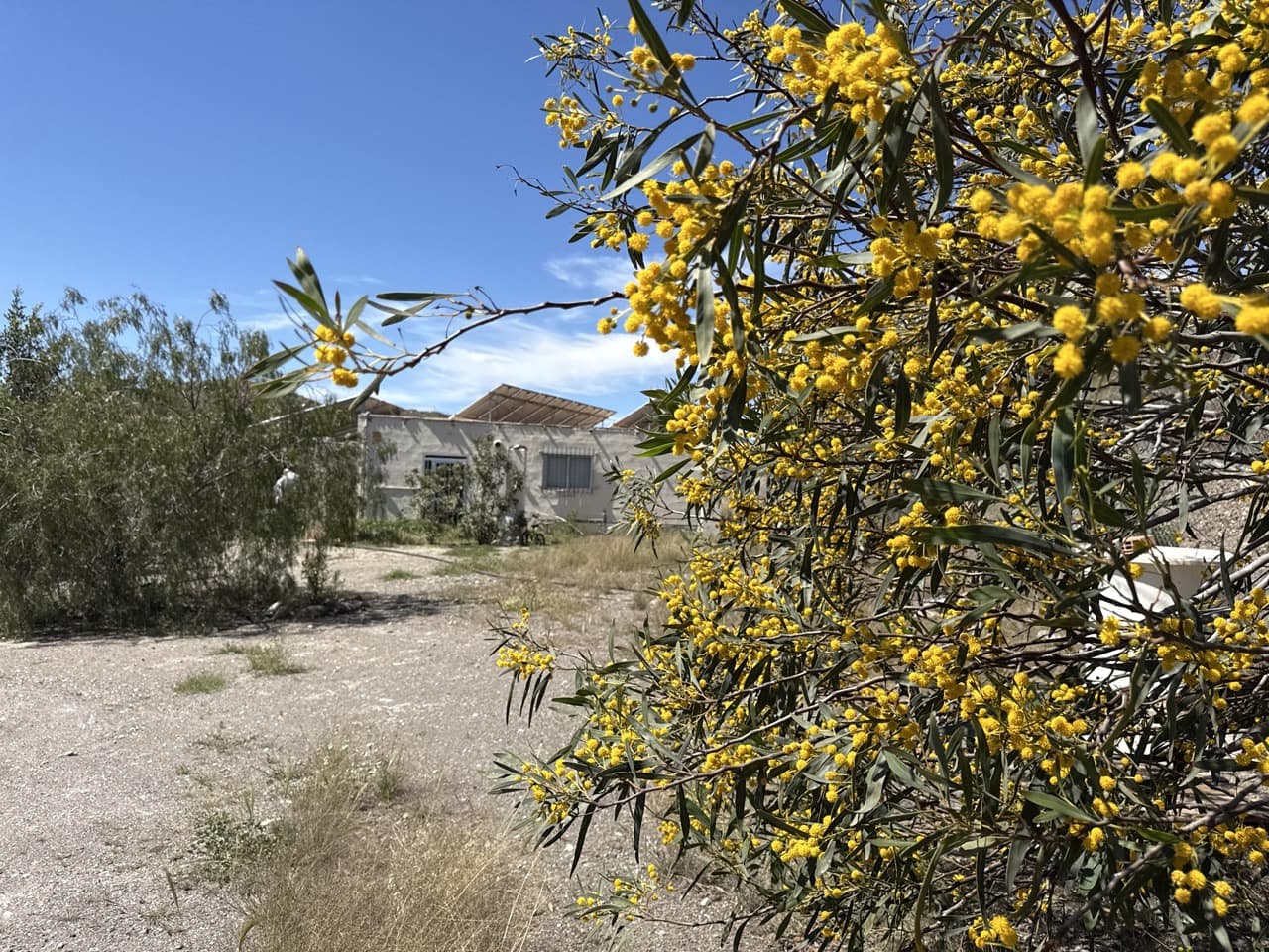 Finca/Herregård til salgs i Aguilas - € 2 500 000 (Ref: 10007494)