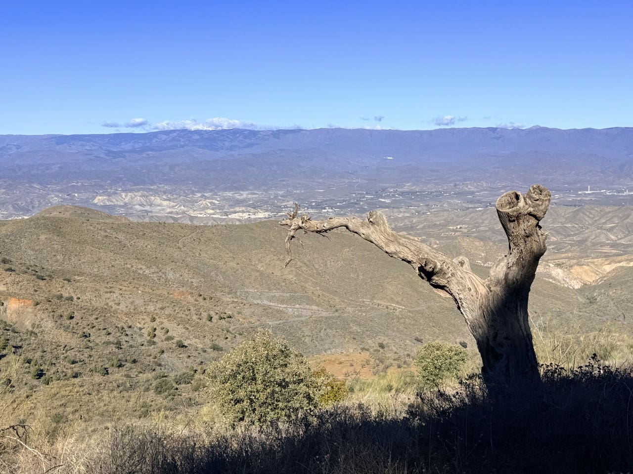 Finca/Casa di Campagna in vendita in Tabernas - 2.345.000 € (Rif: 10007495)