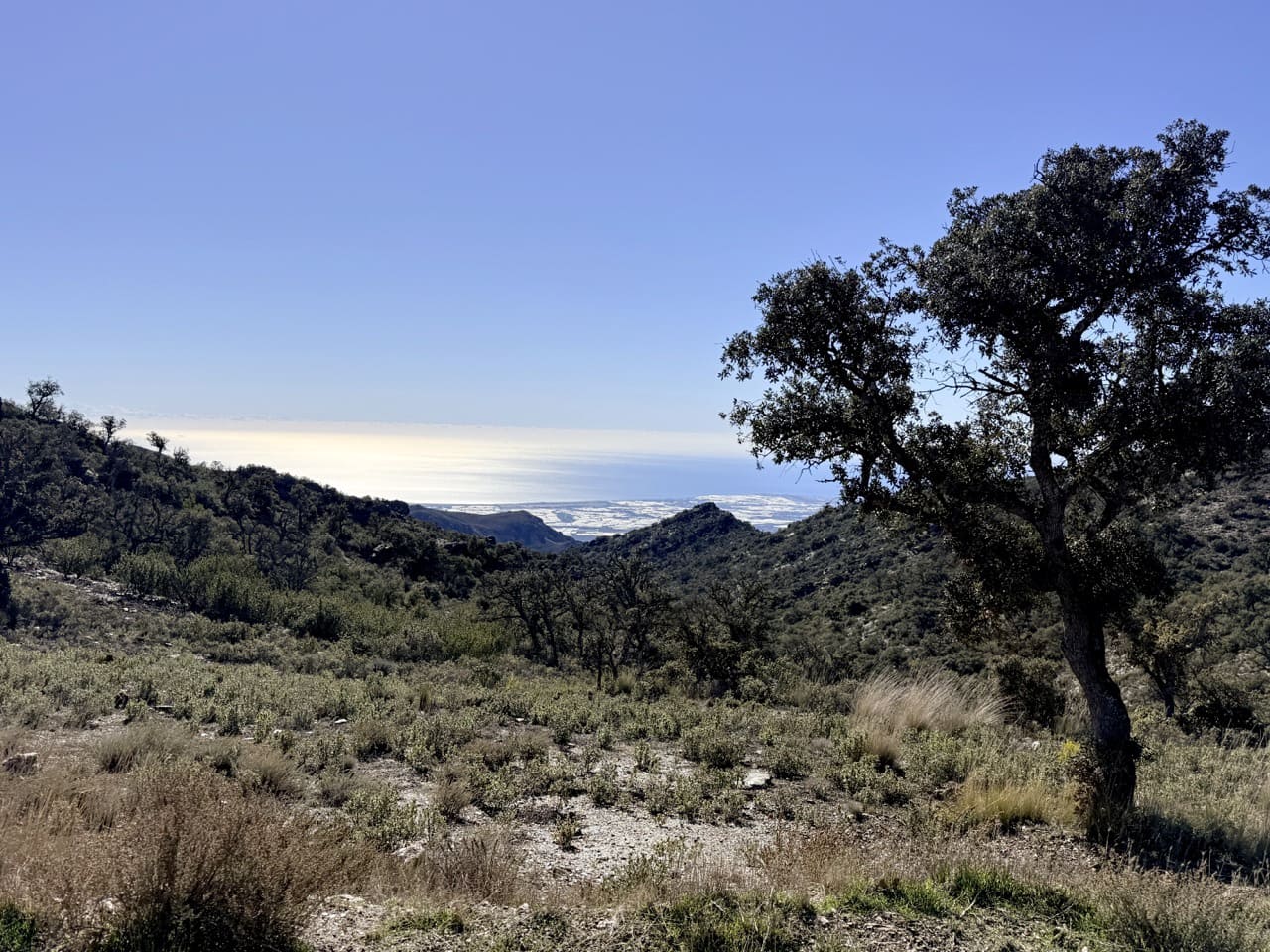 Finca/Casa di Campagna in vendita in Tabernas - 2.345.000 € (Rif: 10007495)
