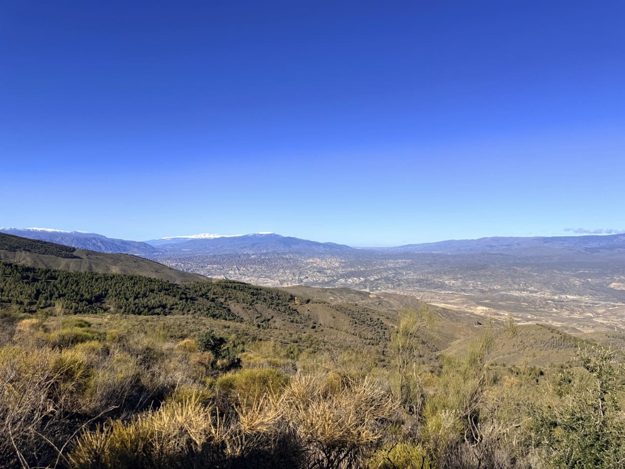 Finca/Casa di Campagna in vendita in Tabernas - 2.345.000 € (Rif: 10007495)