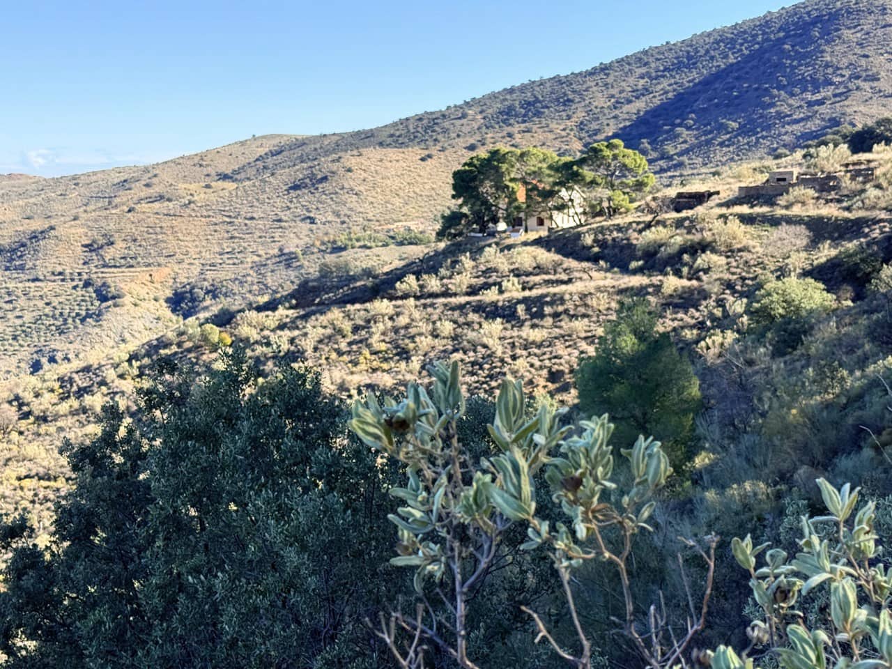 Finca/Casa di Campagna in vendita in Tabernas - 2.345.000 € (Rif: 10007495)