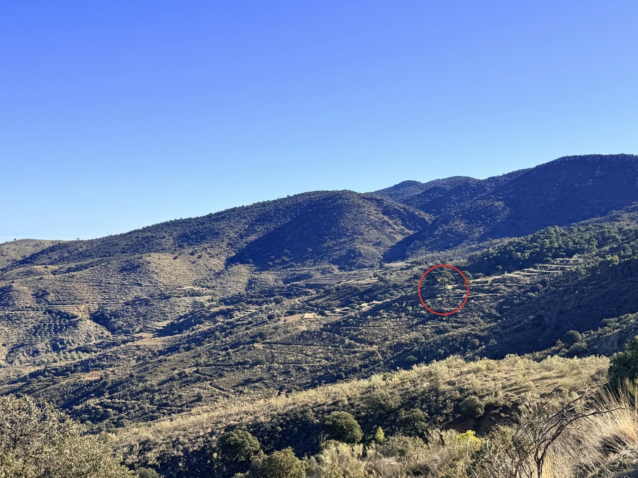 Finca/Casa di Campagna in vendita in Tabernas - 2.345.000 € (Rif: 10007495)