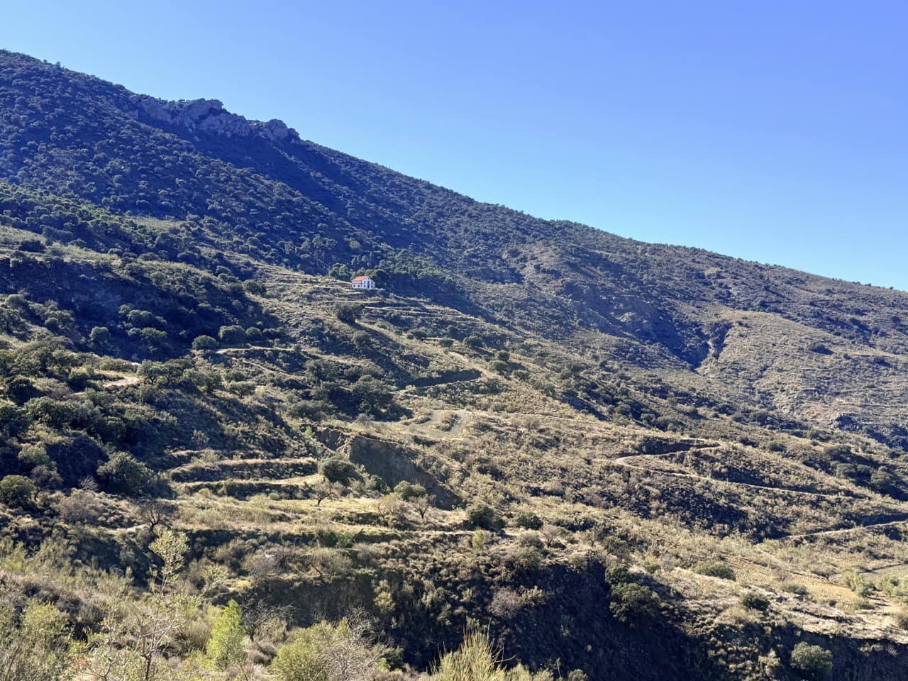 Finca/Casa di Campagna in vendita in Tabernas - 2.345.000 € (Rif: 10007495)