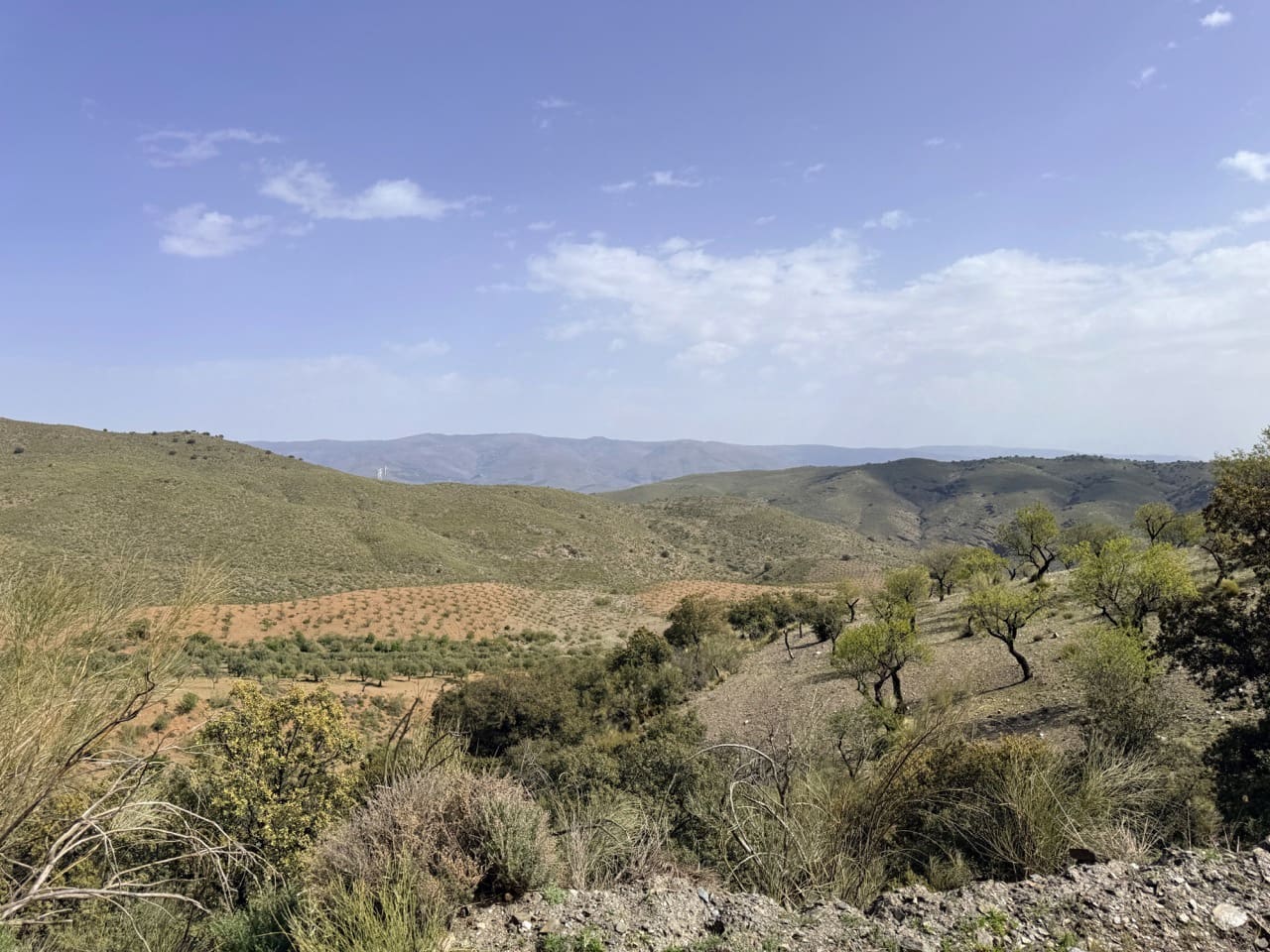 Finca/Country House for sale in Las Tres Villas - € 8,000,000 (Ref: 10007613)