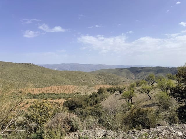 Finca/Country House for sale in Las Tres Villas - € 8,000,000 (Ref: 10007613)
