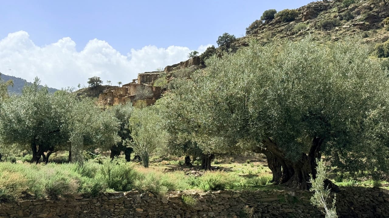 Finca/Country House for sale in Las Tres Villas - € 8,000,000 (Ref: 10007613)