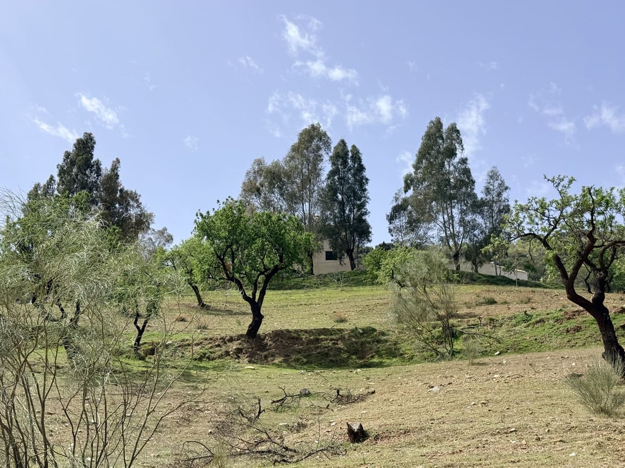 Finca/Country House for sale in Las Tres Villas - € 8,000,000 (Ref: 10007613)