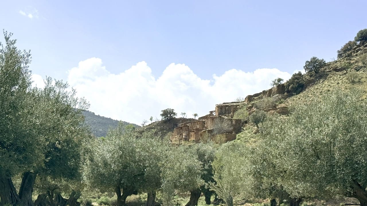 Finca/Country House for sale in Las Tres Villas - € 8,000,000 (Ref: 10007613)