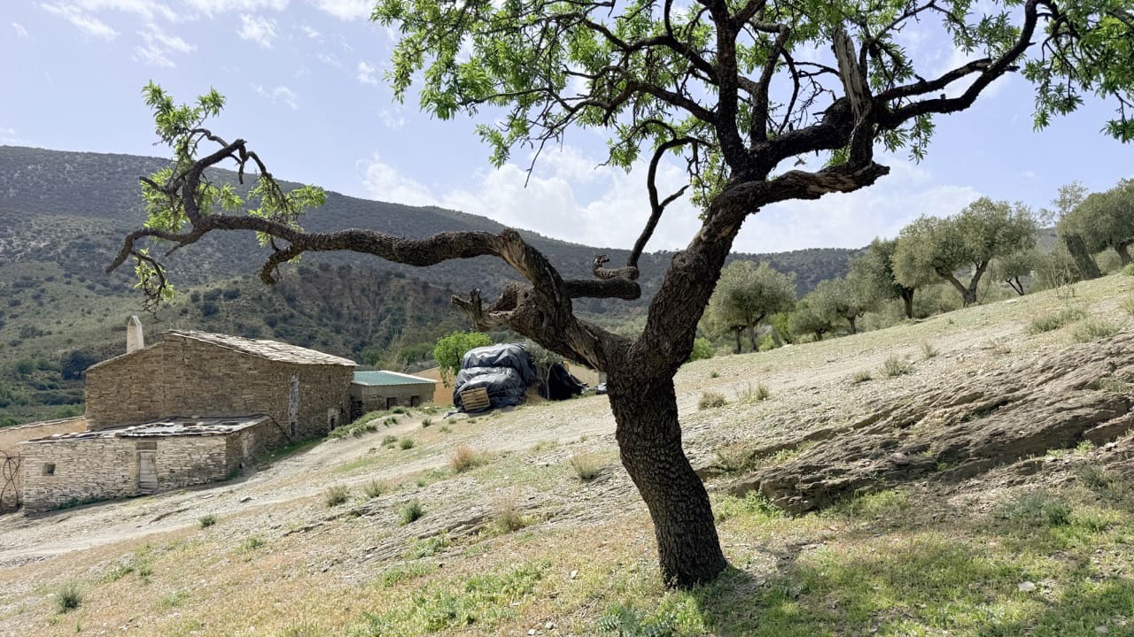 Finca/Country House for sale in Las Tres Villas - € 8,000,000 (Ref: 10007613)